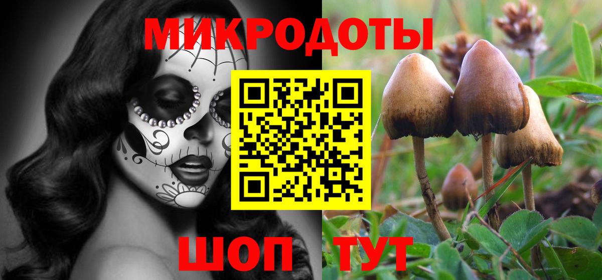Галлюциногенные грибы Cubensis  Псилоцибиновые грибы Psilocybe  Гай  Вход с VPN 
